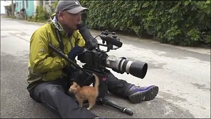 Petit deviendra grand