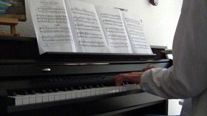 Bach- Petri Cantate BWV 208 "aria shafe konnen sicher weiden"