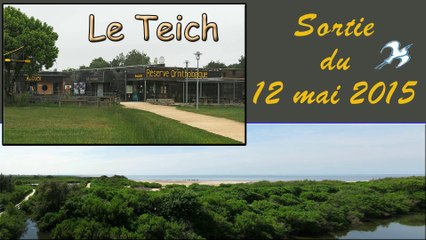 Sortie au Teich le 12 mai 2015