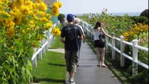 The Marginal Way - Ogunquit, Maine