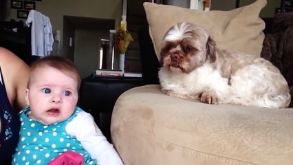 Baby Argues with Dog | Quit Your Bellyaching