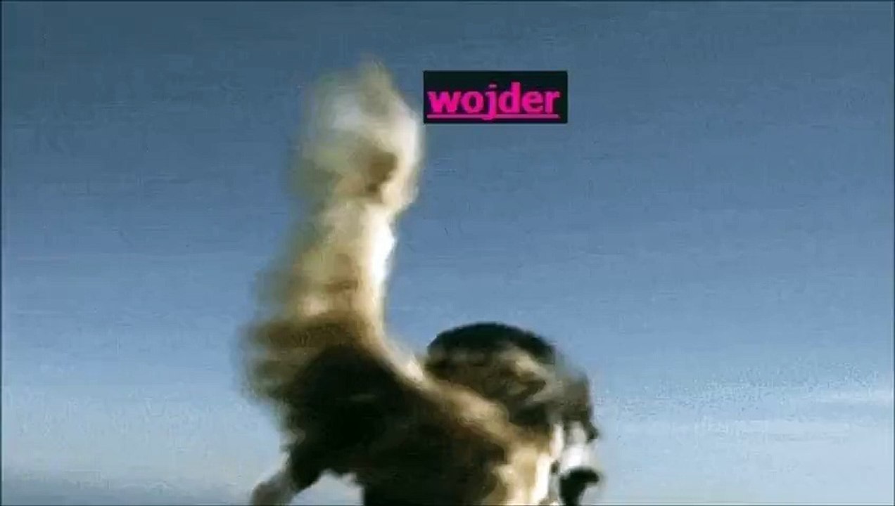 Beste Froinde! MEOW :3