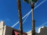 Red Hot Chili Peppers - Backwoods Contrails?