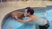 Scott & 7 week old Golden Retriever puppy, Cooper, go swimming