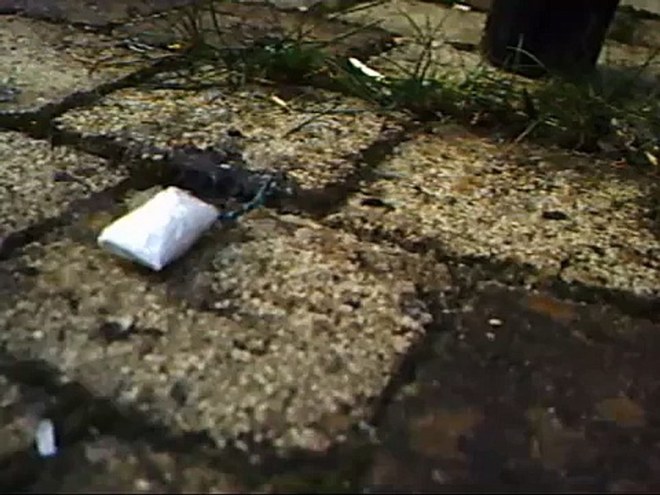 Zwavel Bom! Wel een beetje slechte Kwaliteit geluid