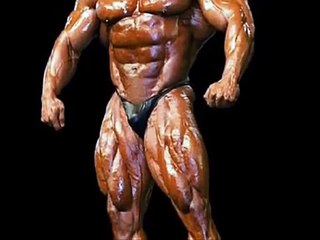 Nasser El Sonbaty Muscle Morph