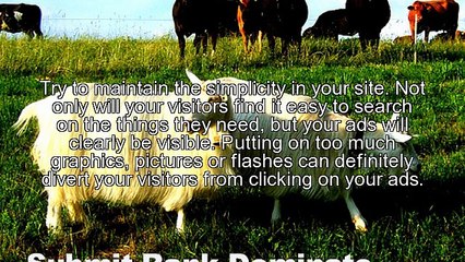 Adsense Template Tips To Income And Sucess... ASAP!