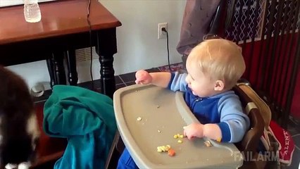 Cats-Being-Jerks-Video-Compilation--FailArmy