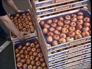 Gevolgen kernramp Tsjernobyl voor verkoop verse groenten - 1986