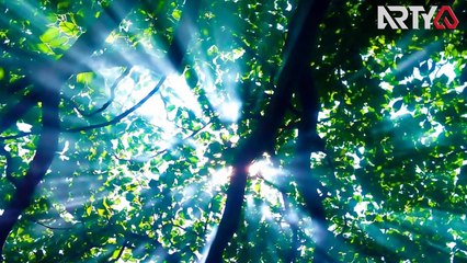 Arty - When I See You (Original Mix)