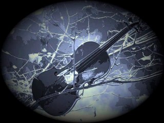 Plač violine by Shadea.wmv