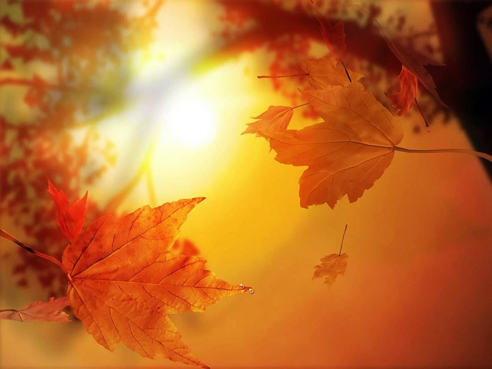 The Cars - Drive   ♪♫ HD ♪♫