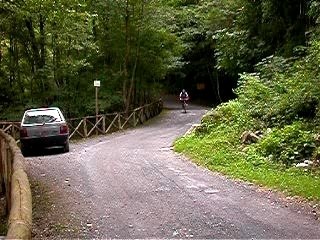 Parco del pollino