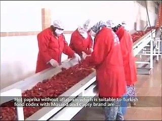 MUSAN - MÜSAN Gıda - Food - Gewurze Microwave Drying Factory