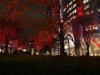 六本木の夜景 Roppongi Night View