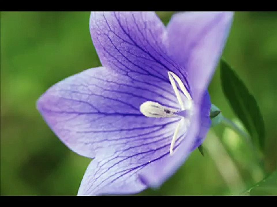 Mari Boine - In the Hand of the Night