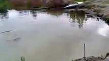 Dog saves his drowning owner.
