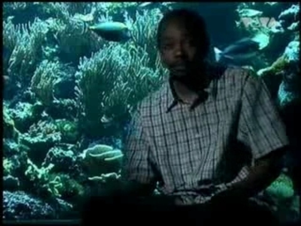 Declaime_ft_Lil_Dap-Shine_Time-SVCD-2004