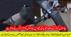 Pakistani Spy-Crow Coming Soon... Students from NUST College of EME