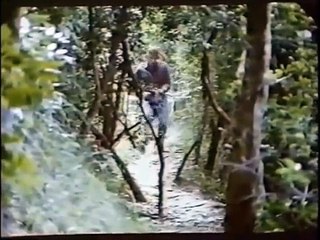 Godfrey Ho's Hitman The Cobra (1987) ENGLISH VERSION / VO