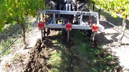 Vineyard subsoiling with a Yeomans plow at Cass Vineyard