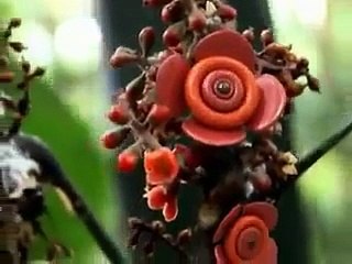 سبحان الله تفرج في خلق ربي حاجة أول مرة تشوفها