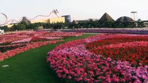 Dubai's Miracle Garden has 45 million flowers