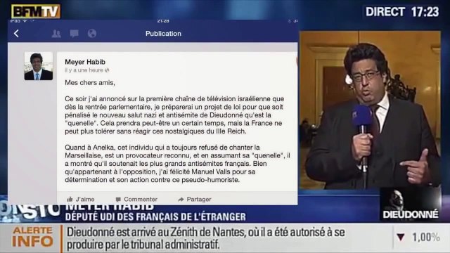 Meyer Habib, ancien gros bras des milices sionistes !