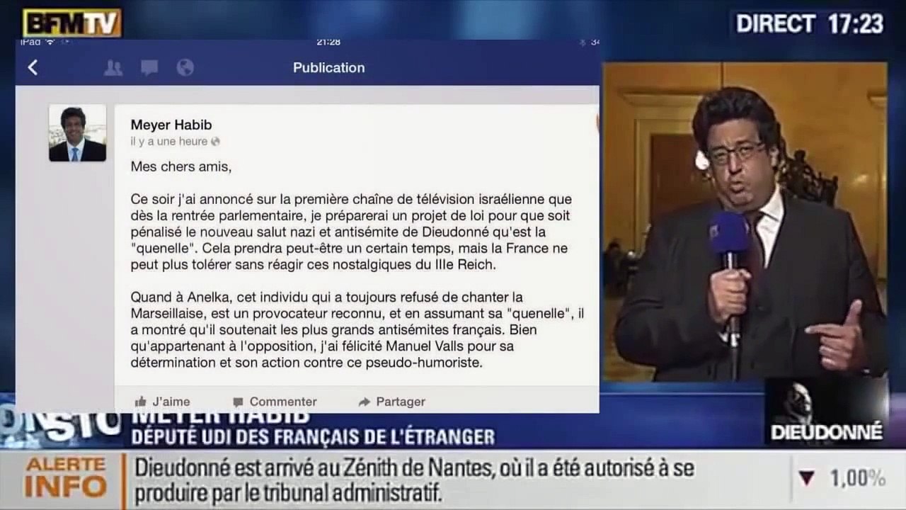 Meyer Habib, ancien gros bras des milices sionistes !