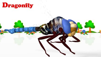 Animals Name - 3D Animation - English Nursery rhymes - 3d Rhymes -  Kids Rhymes - Rhymes for childrens