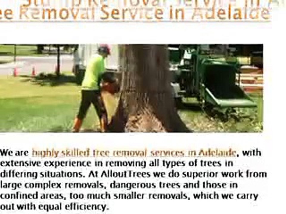 Tree Removal Services in Adelaide