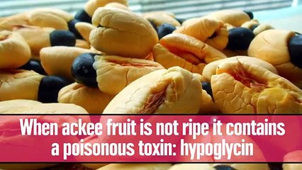 8 Insanely Dangerous Foods That People Actually Eat