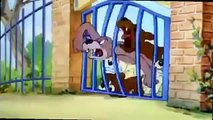 Tom si Jerry 2015 Animated cartoon