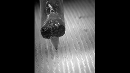 Watch a needle on vinyl record under an electronic microscope