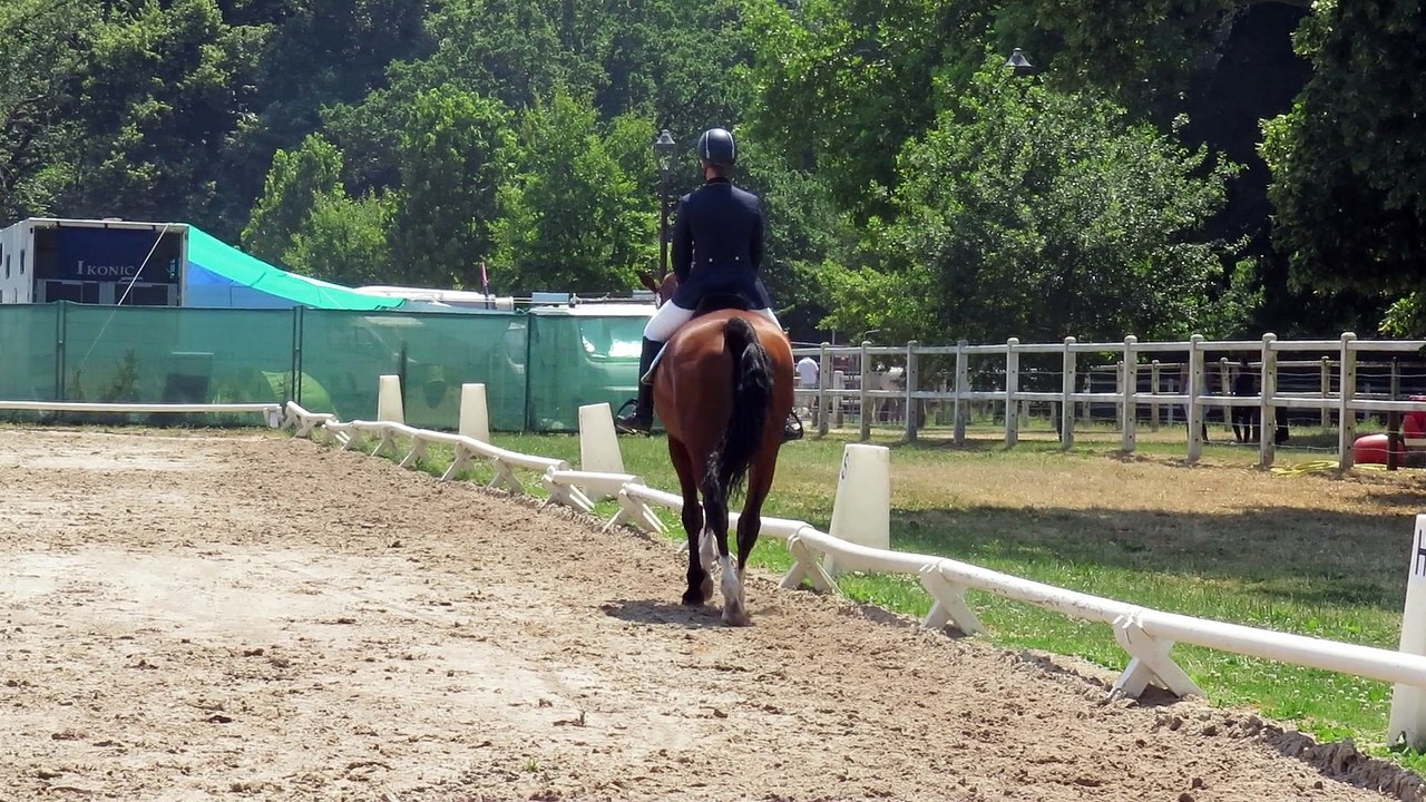 15-07-02 - Amateur Team - Dressage du CCE