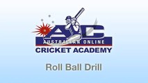 Roll Ball Batting Drill - Online Cricket Academy