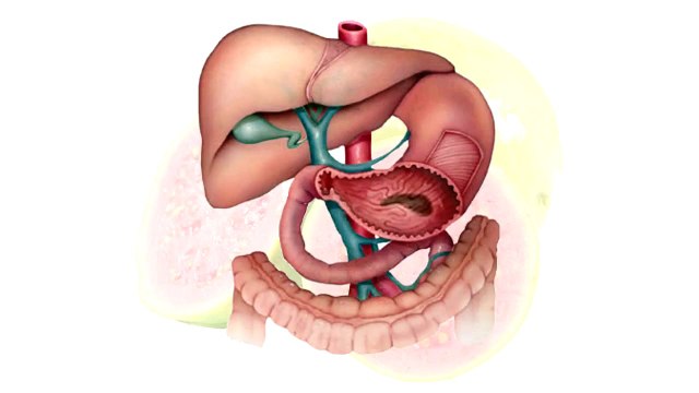 Propiedades y beneficios medicinales de la Guayaba