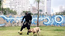 Samurai in Brazil - Nissin Cup Noodle CM (Japanese TV commercial)