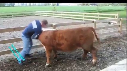 Funny Video - Funny Fail - Funny Animal Attack - Extreme XXX Fail Compilation