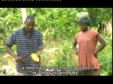 Global Value Chain: Cocoa  (subtítulos españoles) - African Cocoa Coalition, Ghana