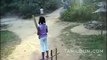 dog playing cricket