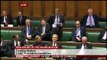 Tory MP's speech gets standing ovation from Labour MPs