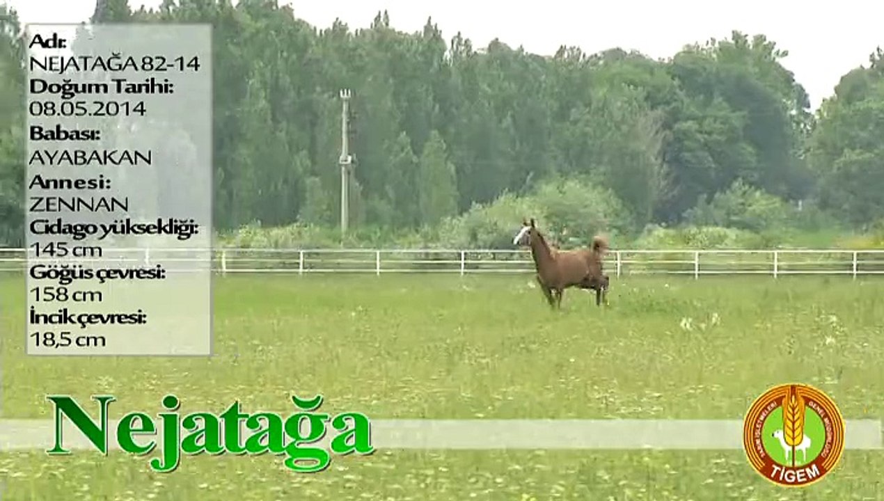 NEJATAĞA