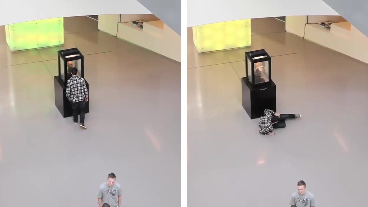 Attention : Ne pas la regarder dans les yeux