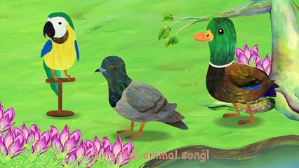 Animal Sounds Song   Animal Sounds for Children to Learn