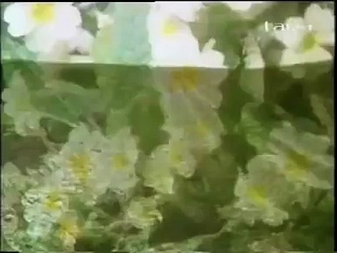 Glenroe Opening Titles, 1983-1993