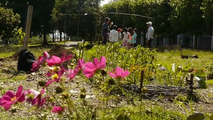 Les jardins partagés de Bayonne