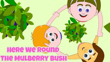 Here We Go Round The Mulberry Bush