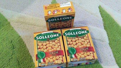 コストコの購入品とレビュー COSTCO HAUL!!