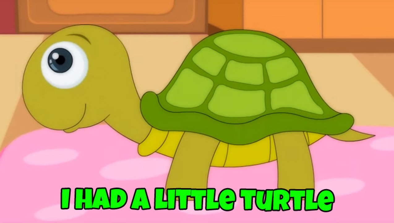 I Had A Little Turtle